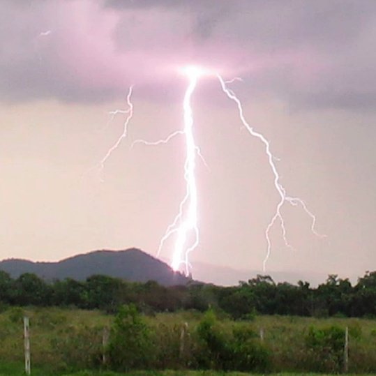 AcervoCharts's tweet image. Brasil lidera número de raios no mundo e gados estão entre os mais afetados.

O fenômeno representa um risco constante em áreas rurais, onde bovinos são frequentemente atingidos por descargas elétricas.