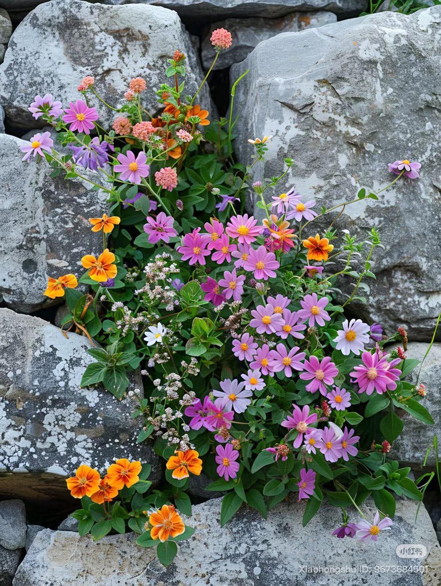 Lovandfear's tweet image. “You can bloom anywhere just like flowers.”