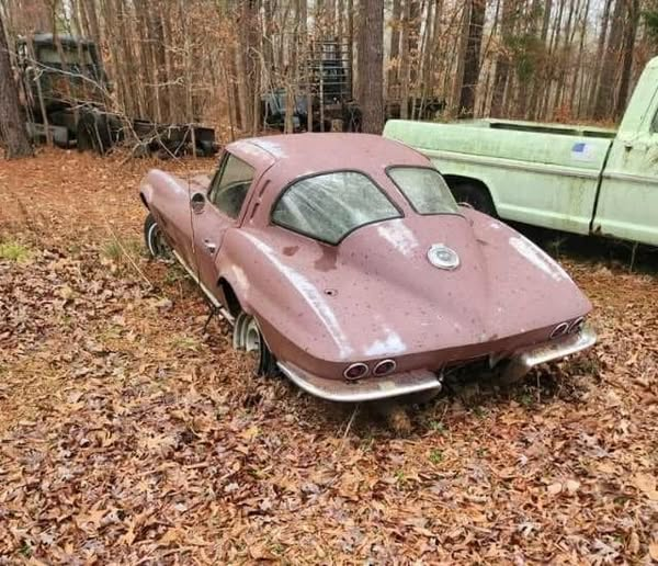 Trumplicans2024.com tweet media