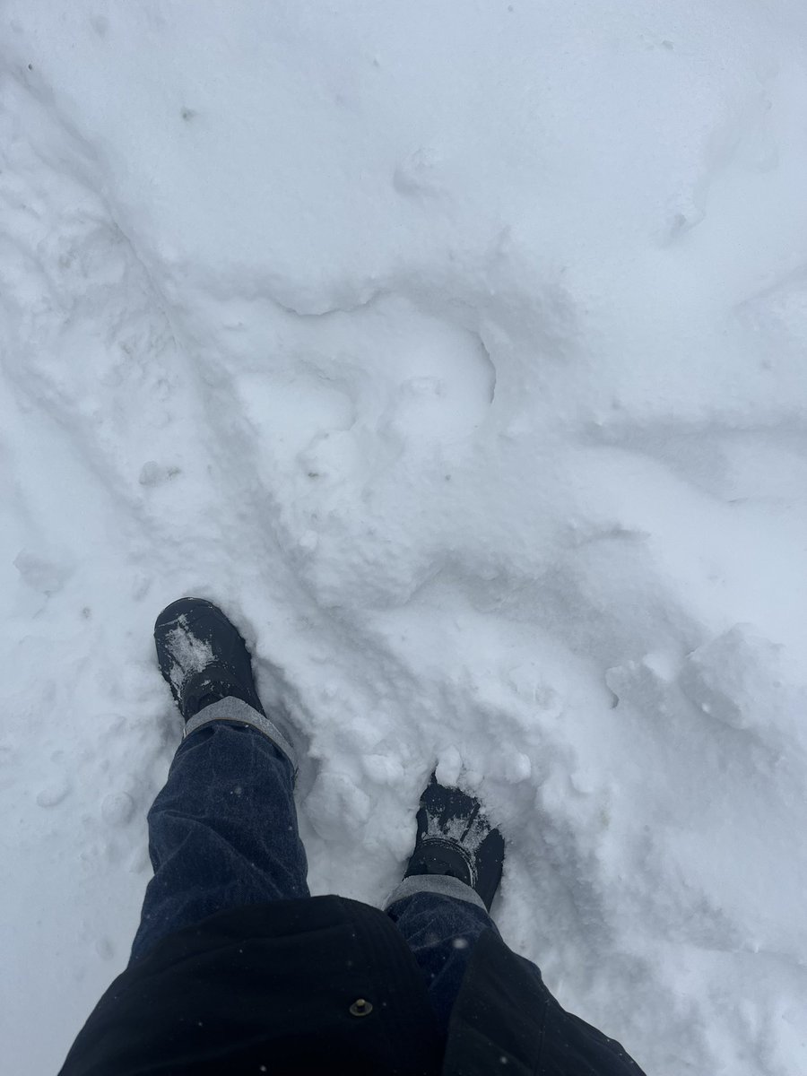 julia ⚾️🛩️ tweet media