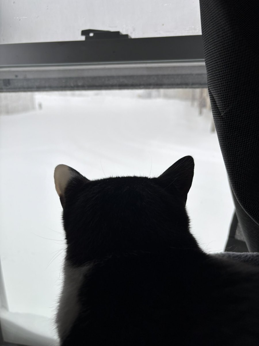 LindstheReader's tweet image. I’m having a fun snow day, but the big plow things that come through really scare me!