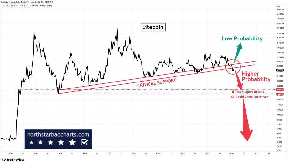 Penguin (@PenguinOffisial) / Posts / X