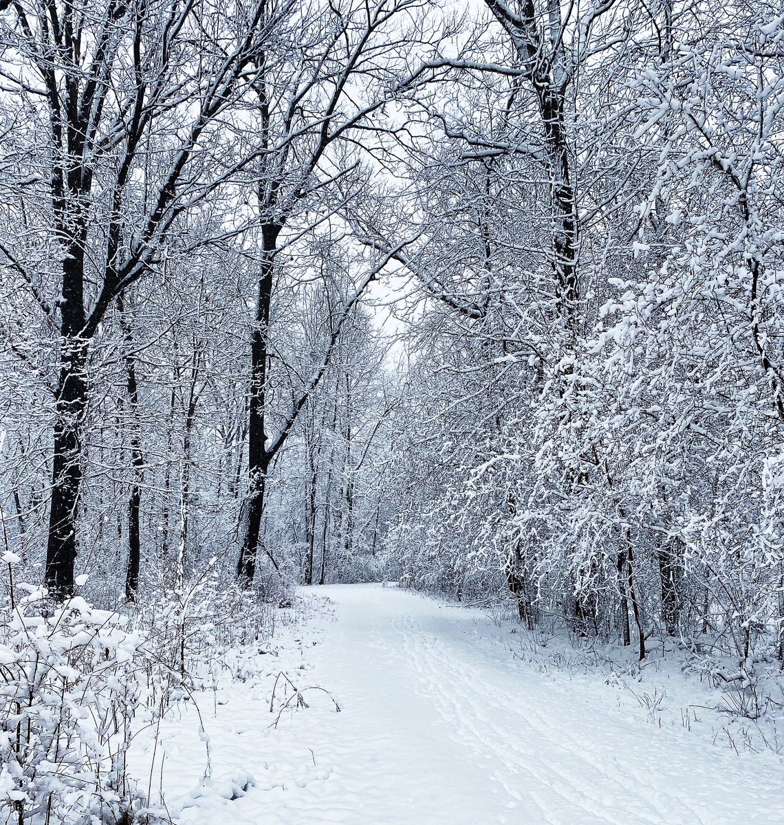 T. J. Zale tweet media