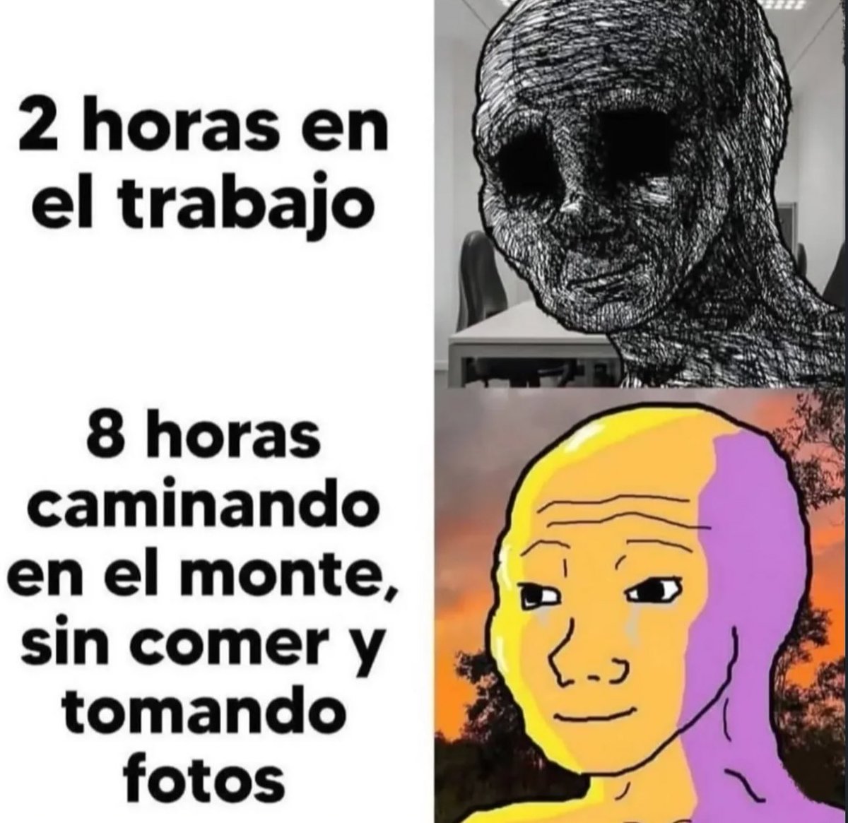 skereunpesado's tweet image. 