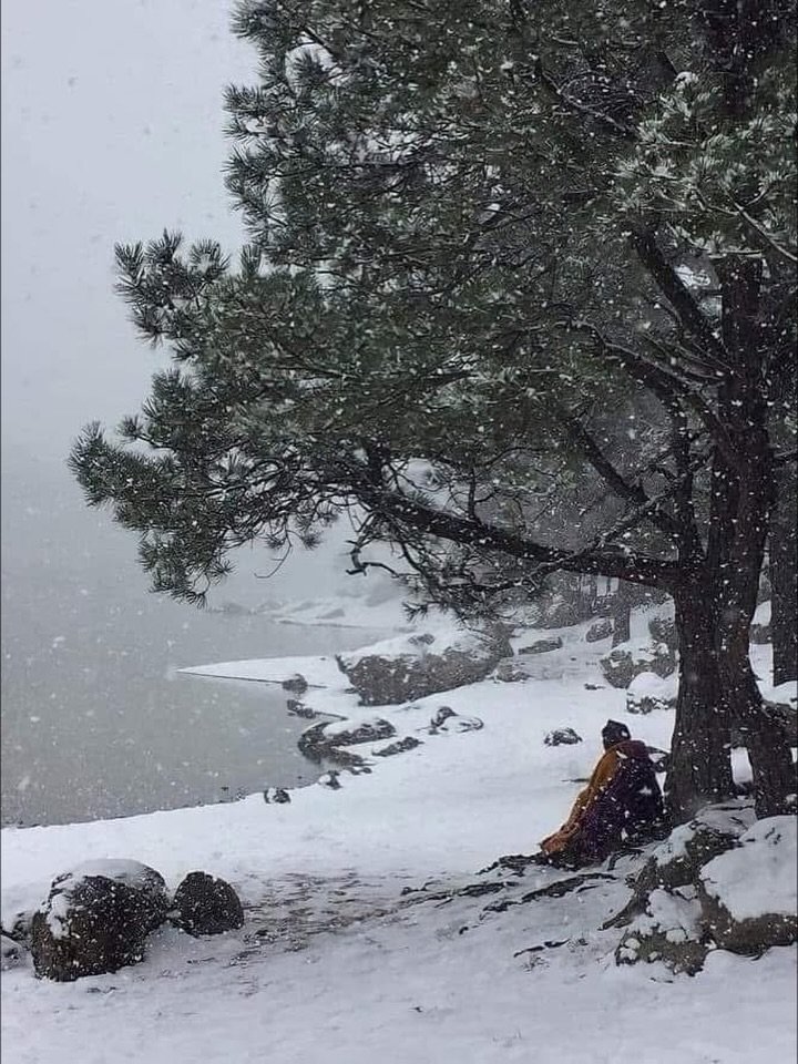 Recomiendo ampliamente que cuando menos una vez en la vida visiten las BARRANCAS DEL COBRE cuando están nevadas, es un espectáculo alucinante de otro mundo parece que andas en otro planeta NAMECUSEI 065