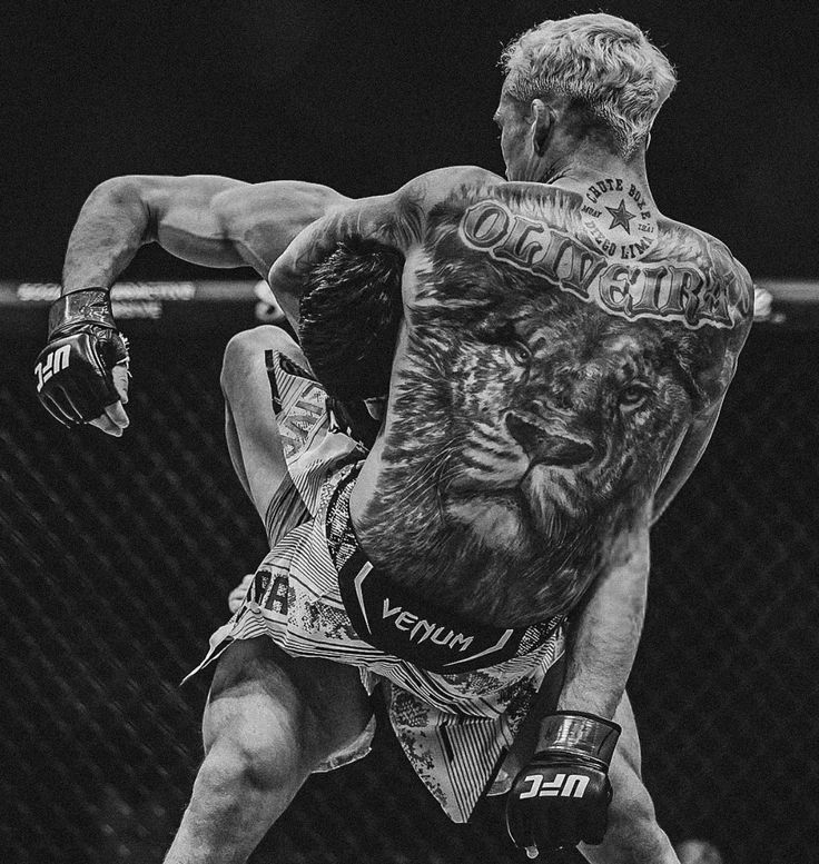 Roots of Combat tweet media