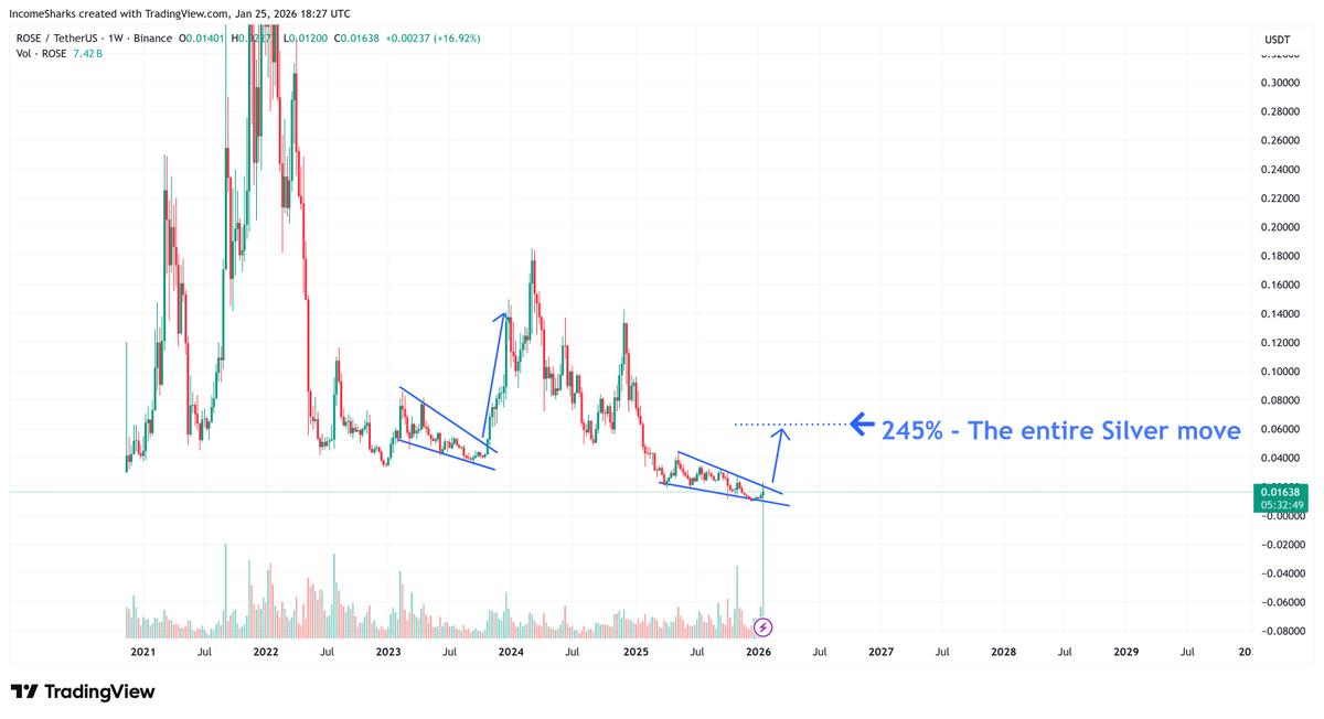 $ROSE - This is why crypto always makes a comeback. You get setups and plays that can outperform entire industries and asset classes in short time frames. There's still no where else you can have opportunities like this, even in less than ideal conditions.