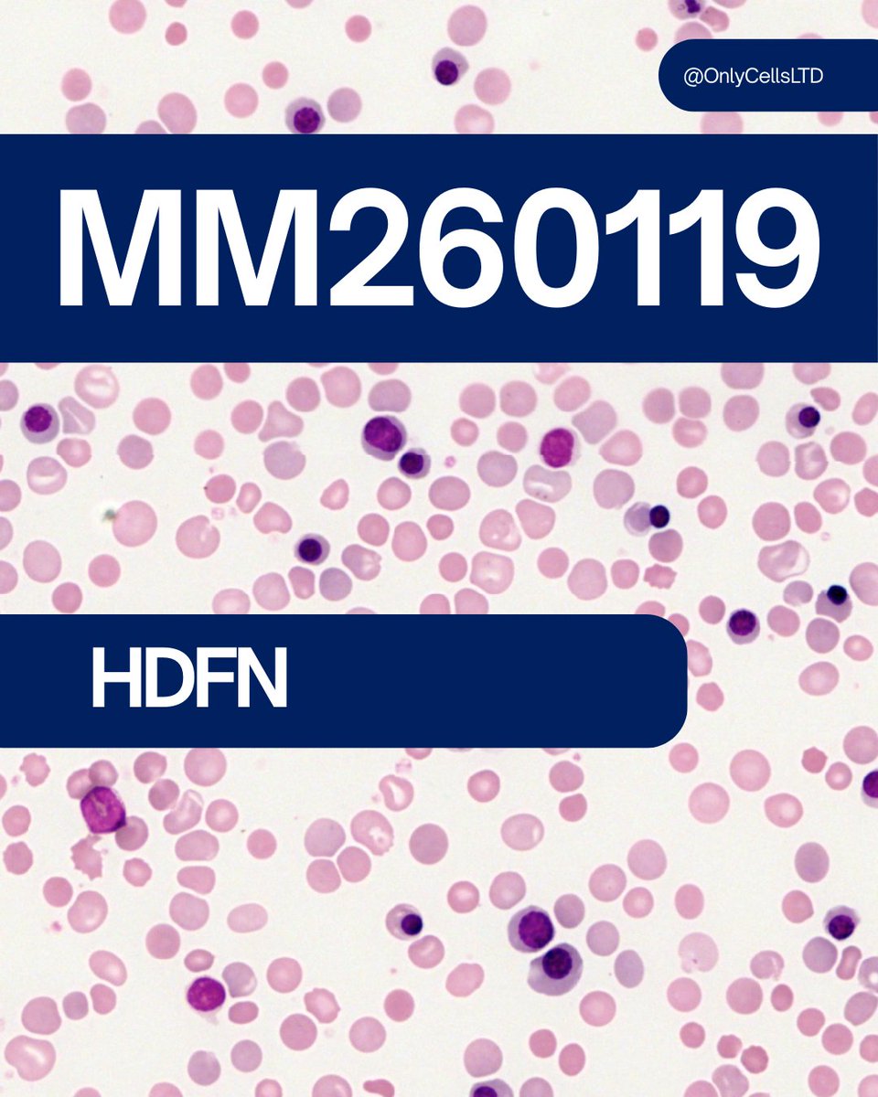 Only Cells tweet media