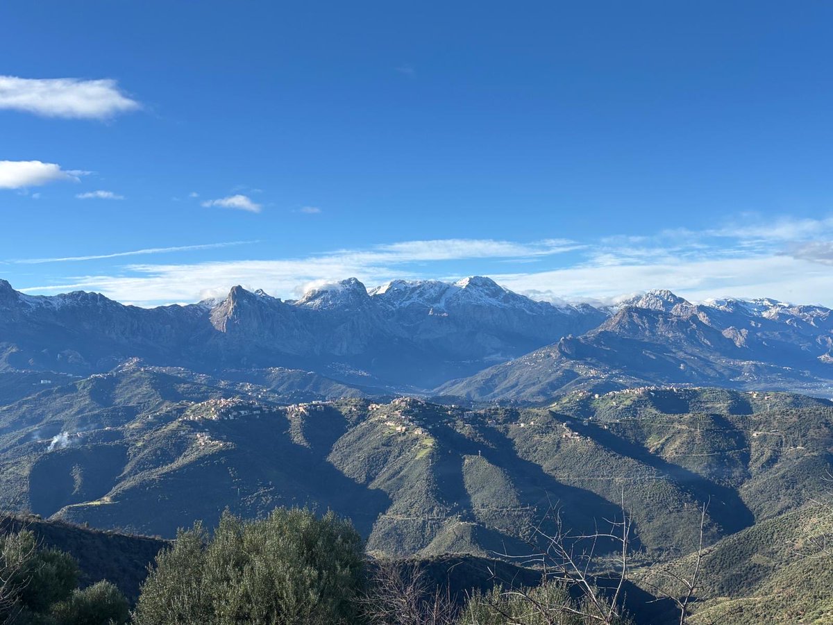 syl 🌻 tweet media