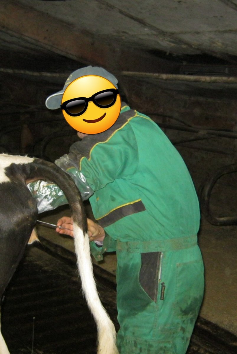 PuroHaix (@haixpuro) on Twitter photo 