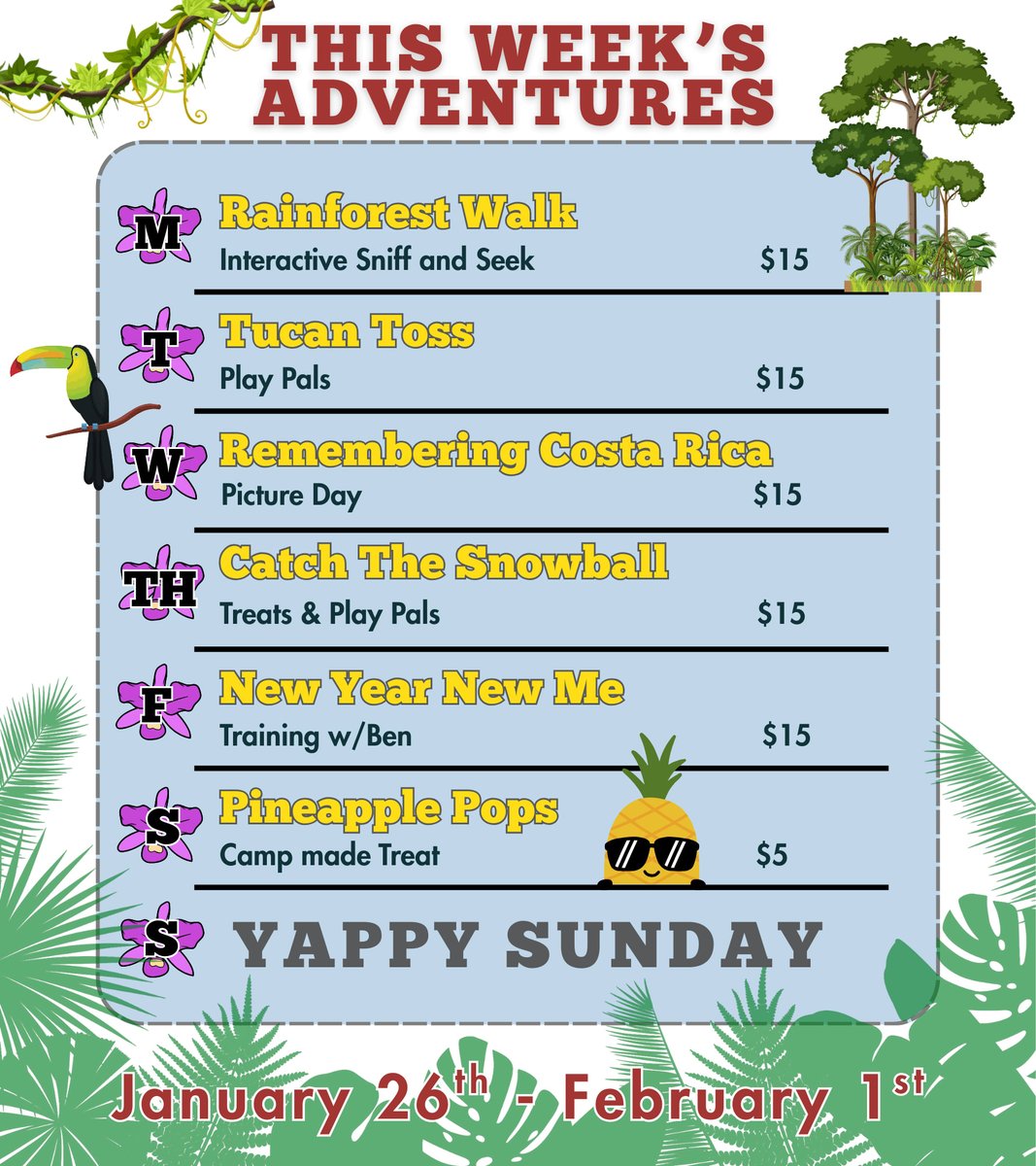 CBWHenderson's tweet image. Last week of January already?! The fun won't stop at Camp. Which adventure is your pup most excited for? 🌴🐾 Rainforest Walk? Tucan Toss? Pineapple Pops? Let us know! 👇

#adventures #camplife #funatcamp #dogdaycare #dogboarding #campbowwow #henderson