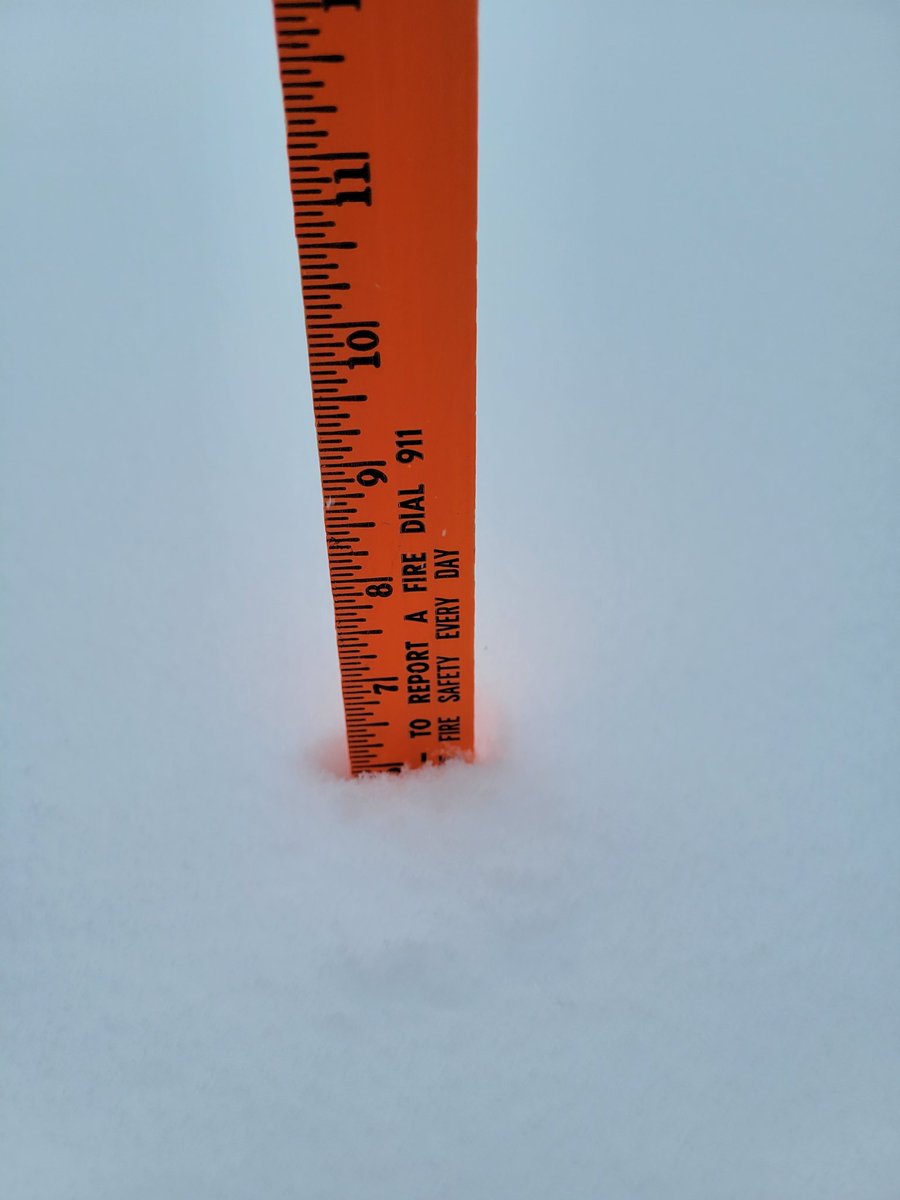 CHowellWDT's tweet image. Here's a 1:30 p.m. check-in from my home. How is everyone faring? Please stay home if possible.