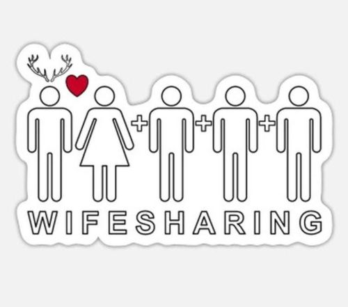 VXN Lifestyle tweet media