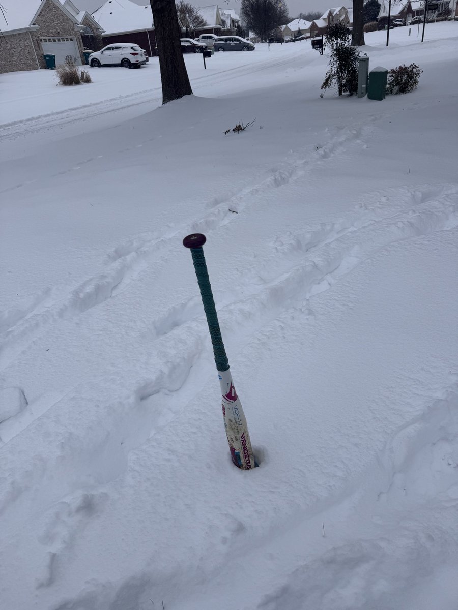 Bryan Morrison tweet media