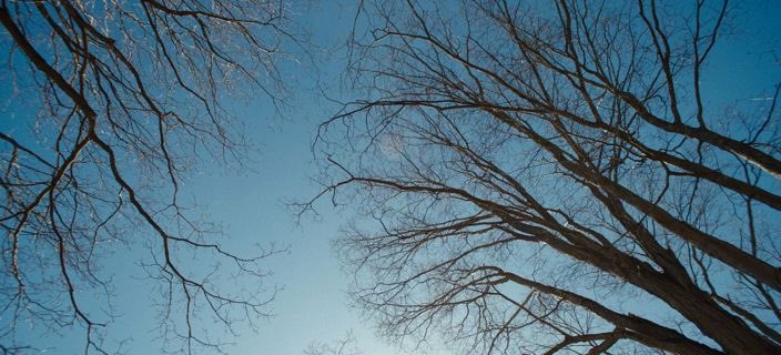 CinemaJoys's tweet image. Sorry, Baby (2025)