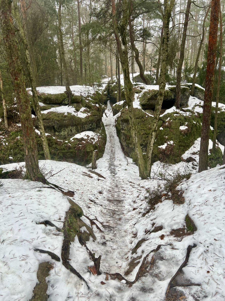 Kokořínsko. 100 % trail, 100 % nesmeky, 90 % čistý led. Těžký to bylo, začalo mi to chutnat až v poslední třetině. Tenhle okruh si zopakuju na jaře, abych si ho trochu užil 🤩 Můj nový nejoblíbenější povrch na běháni jsou listy na ledu 👌🏻 Případně listy ve vodě na ledu 👌🏻👌🏻😬