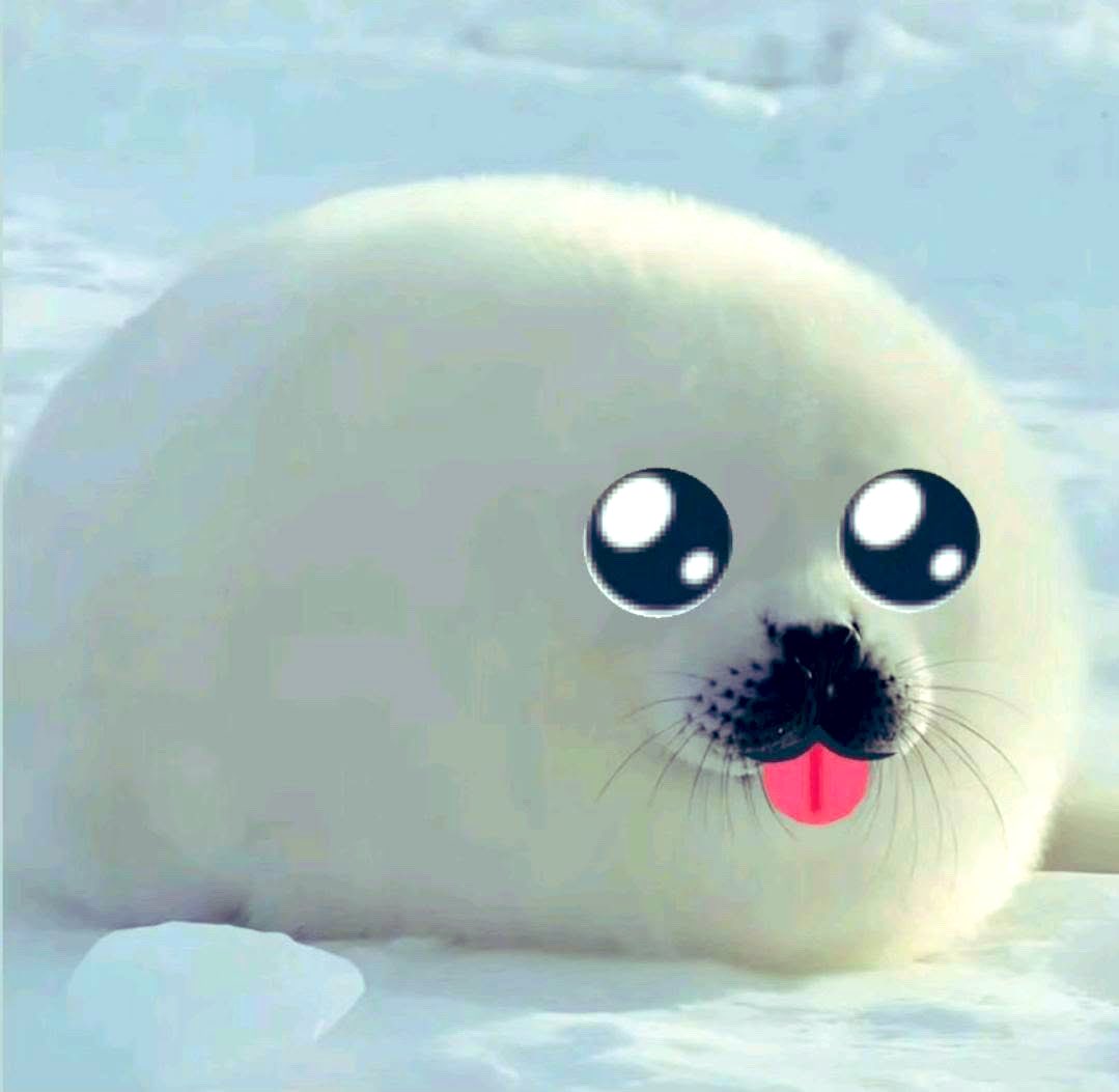 juwinator's tweet image. Hi twitter