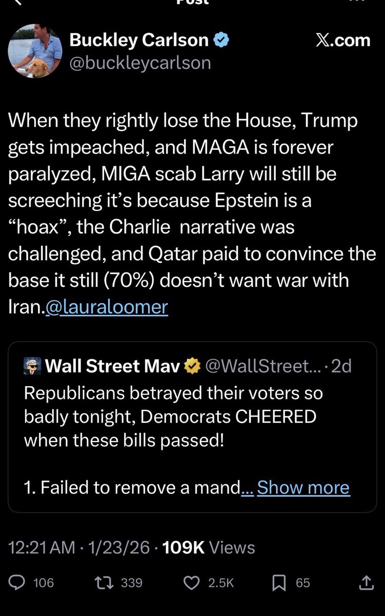 Laura Loomer tweet media
