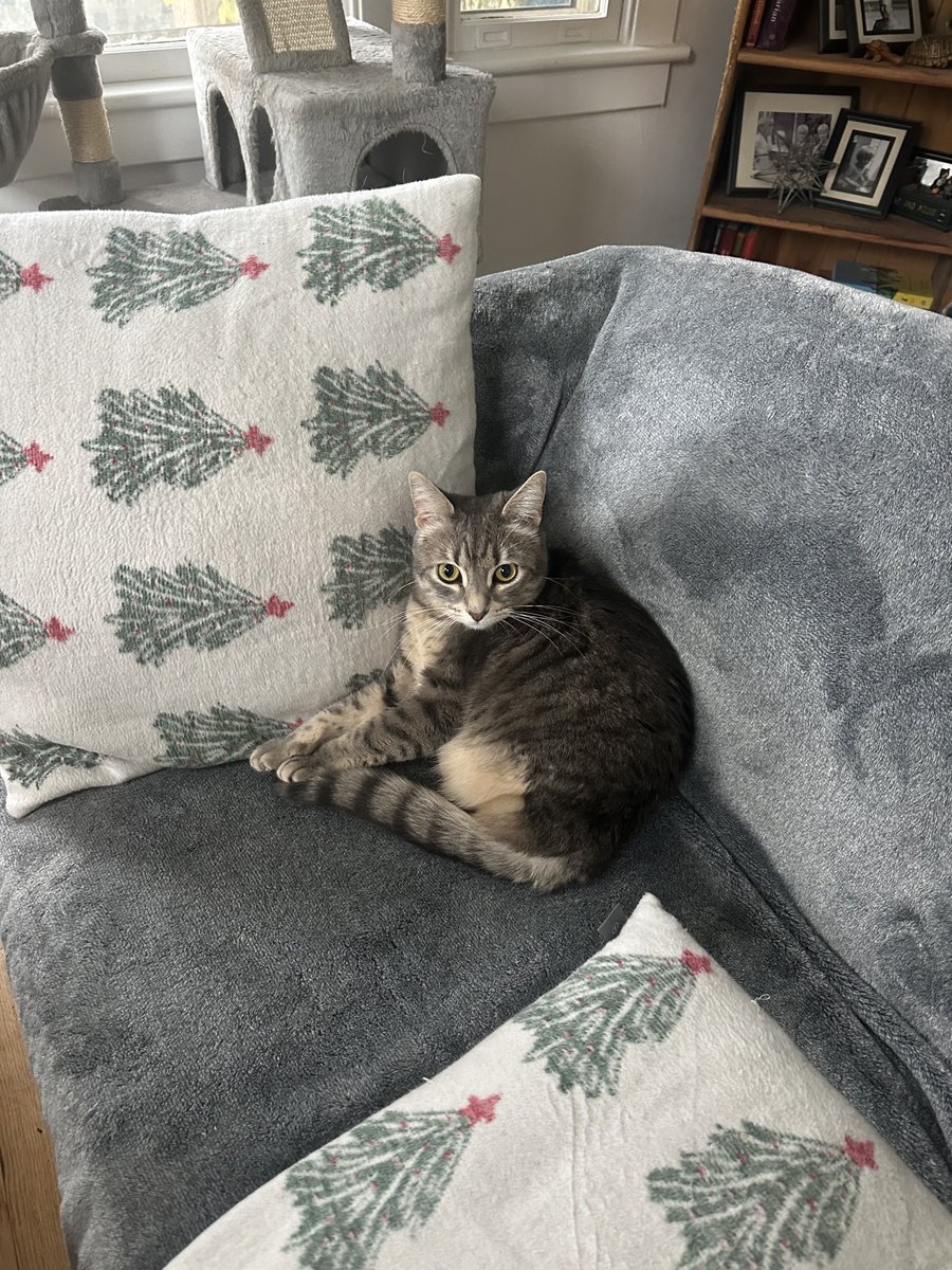 Patrick Skinner tweet media