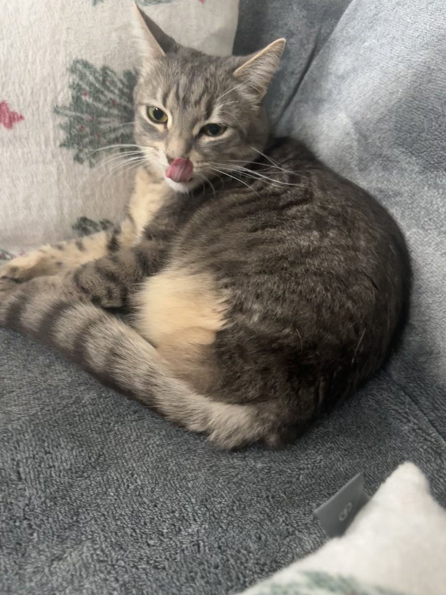 Patrick Skinner tweet media