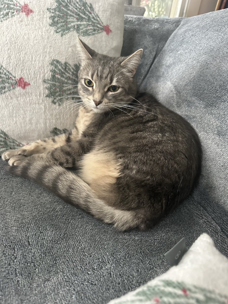 Patrick Skinner tweet media