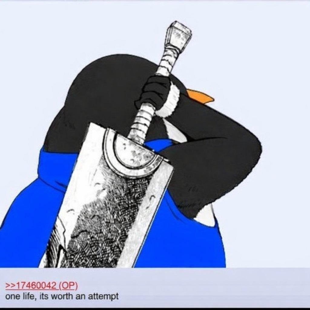 ascendor tweet media