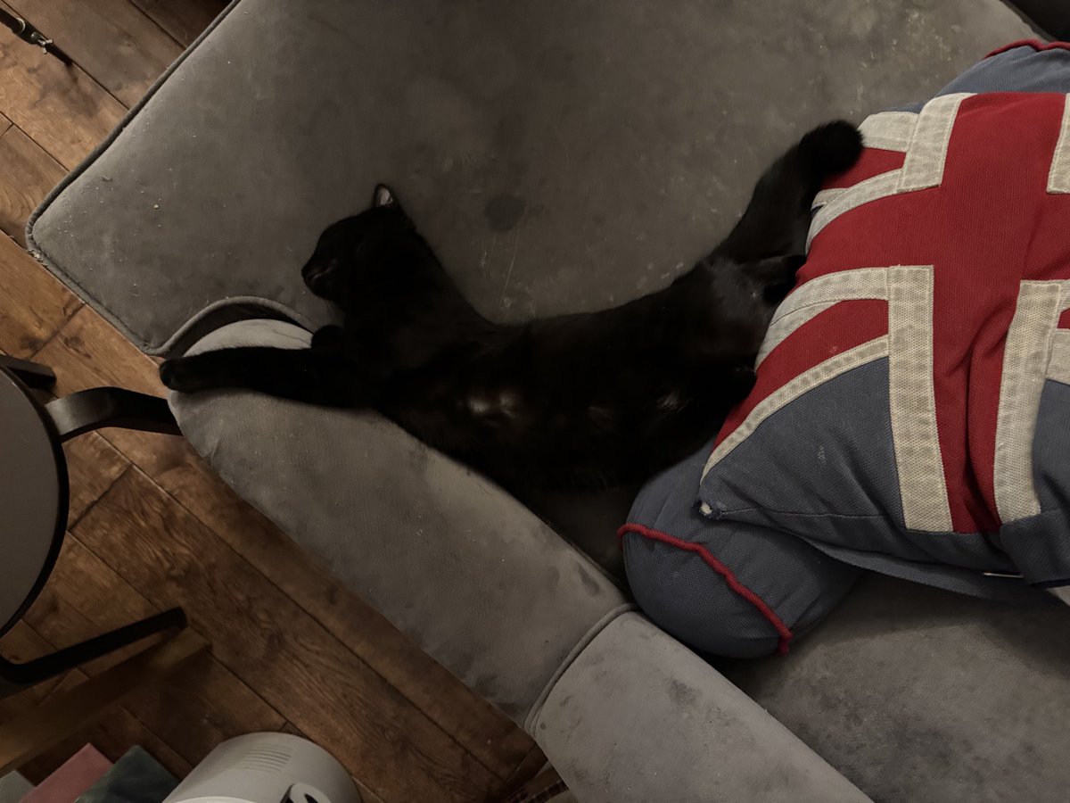 Ну какая же шладкая кошочка