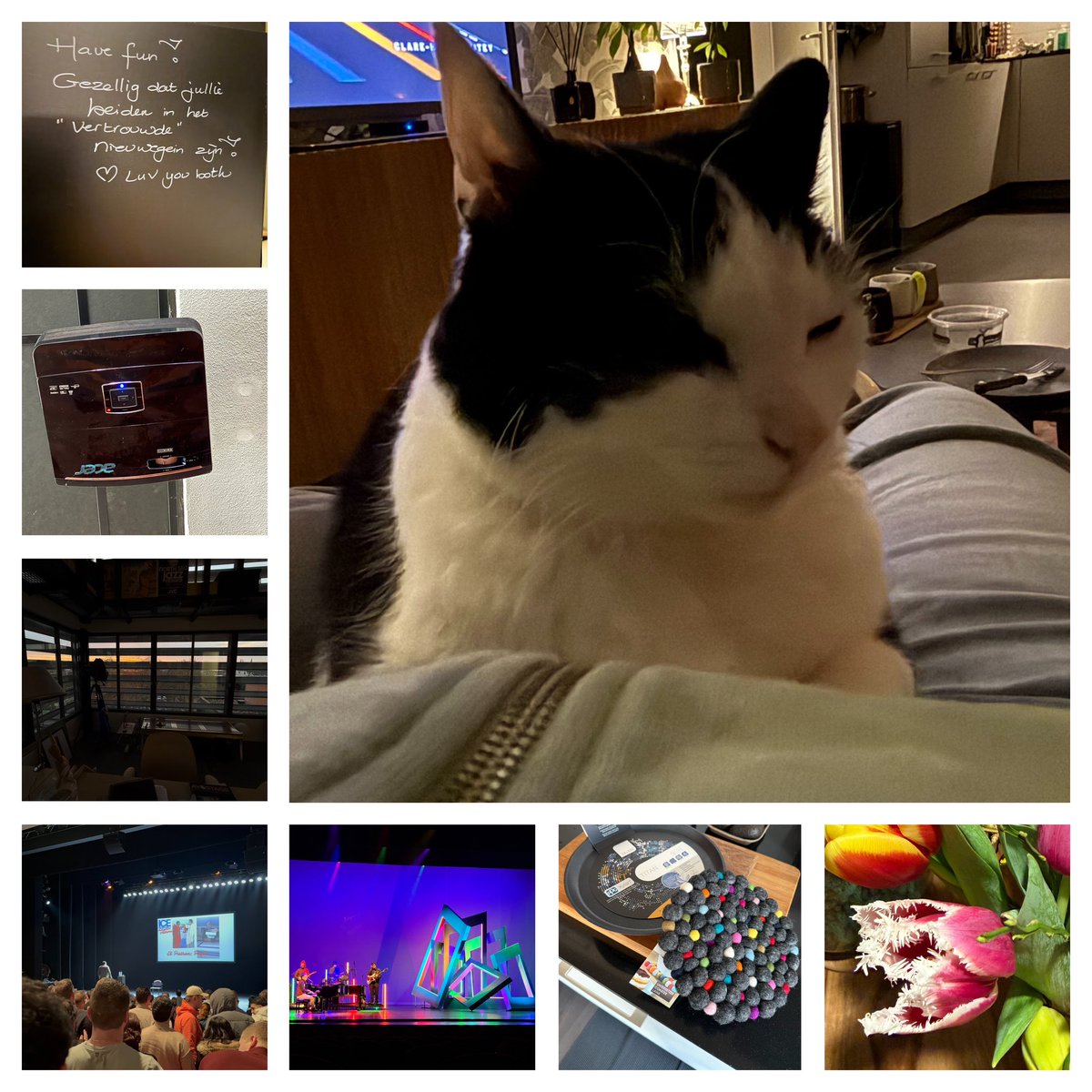 Edithmolmans's tweet image. #deweekisweerom