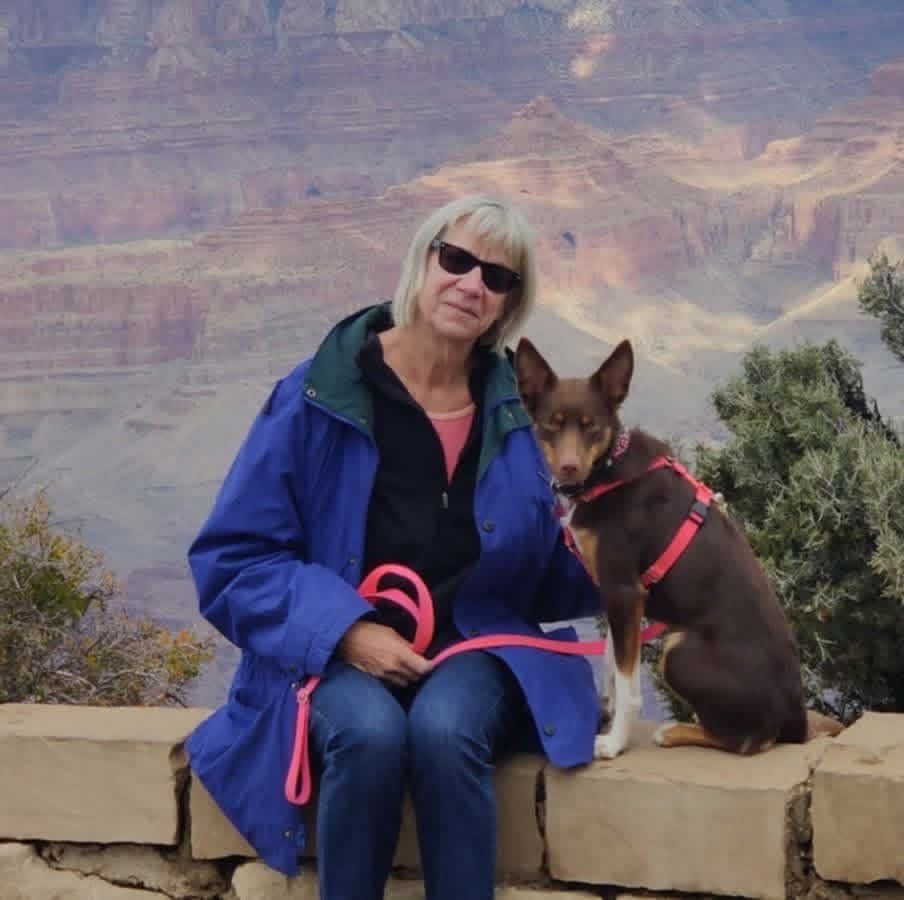 bluelivesmtr's tweet image. Jennifer Johnson of West Newbury, Massachusetts enjoys spending her free time doxxing the families of ICE agents - including the Director and his wife and kids.

Let’s remind this Karen that the internet works both ways.  Apparently all of those boosters have gone to her head.…