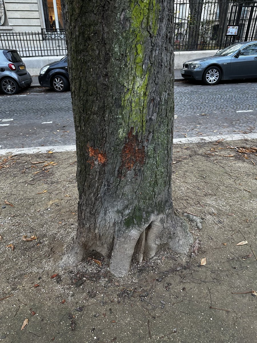 Brucejle tweet media