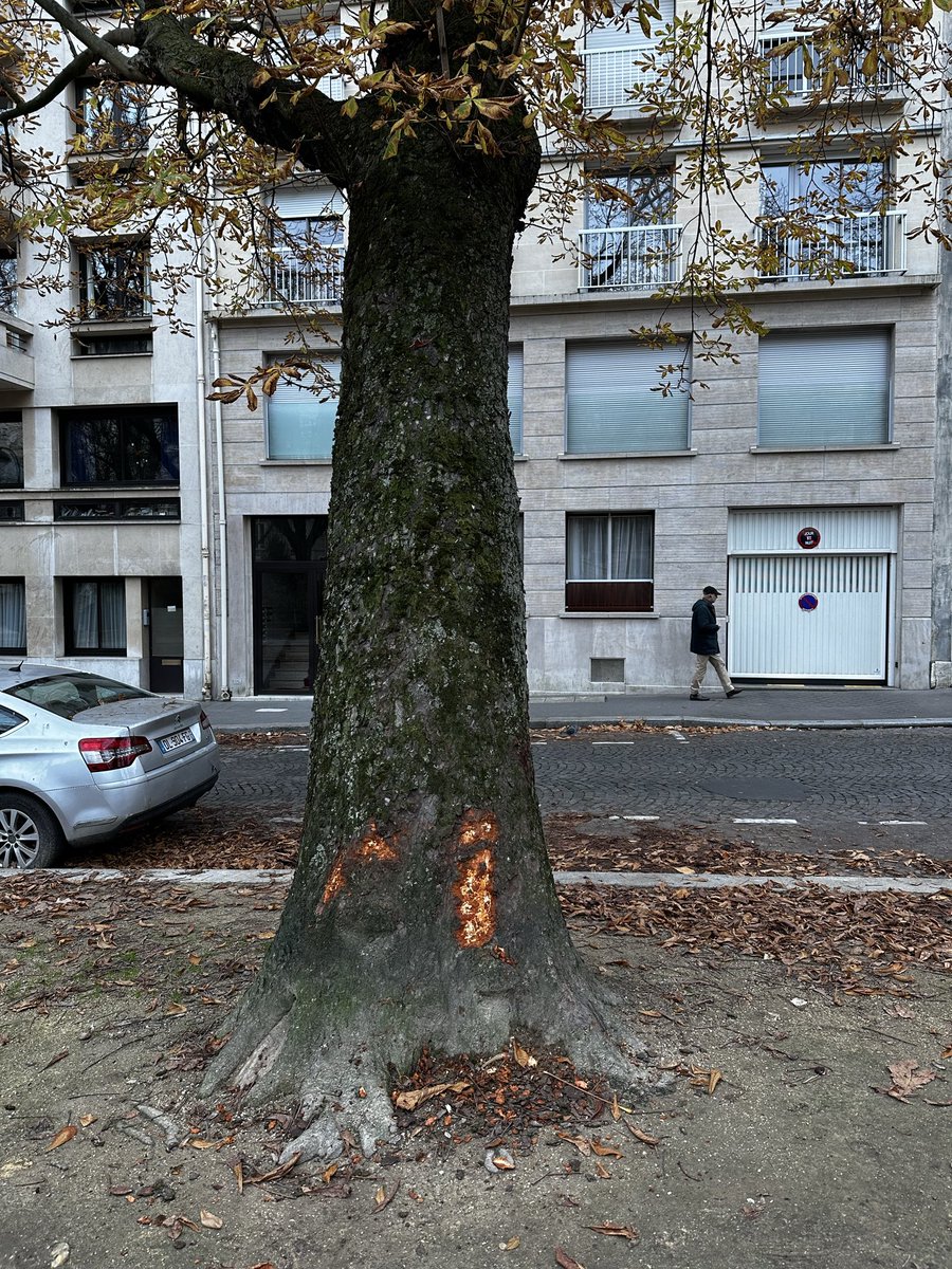 Brucejle tweet media