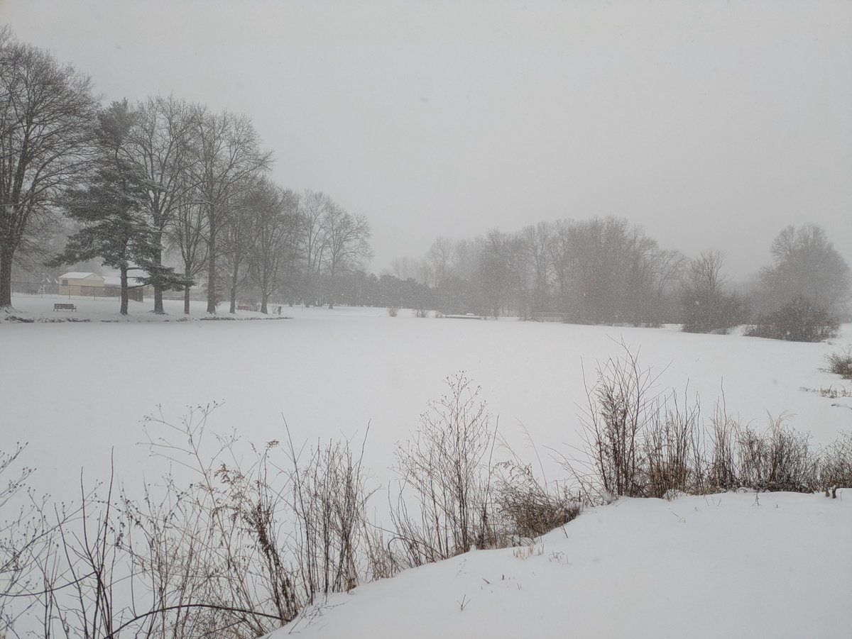 Does anybody know why this is happening?