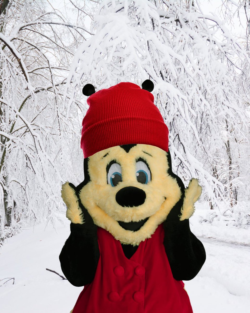 Brrrr...I mean, buzzzz ❄️ 🐝  Happy Snow Day ☃️