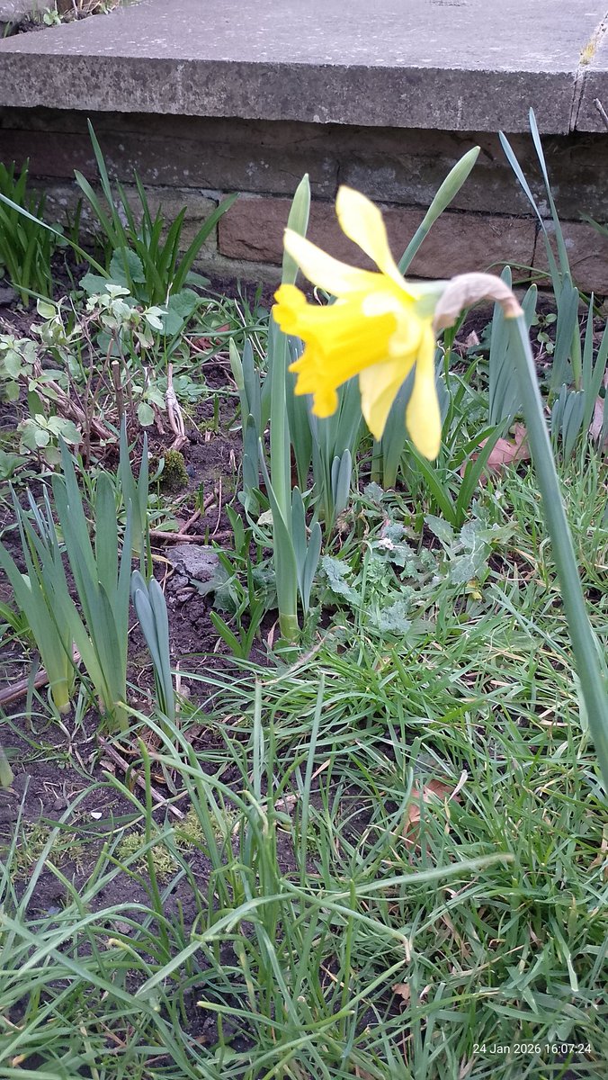 L22 Seafront Gardens tweet media