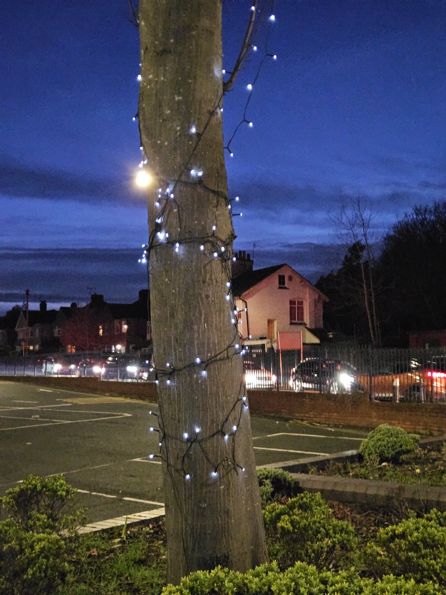 Discover Welling tweet media