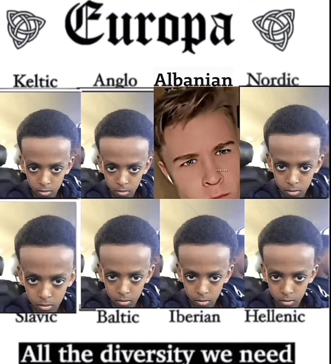 Albanian Archive tweet media