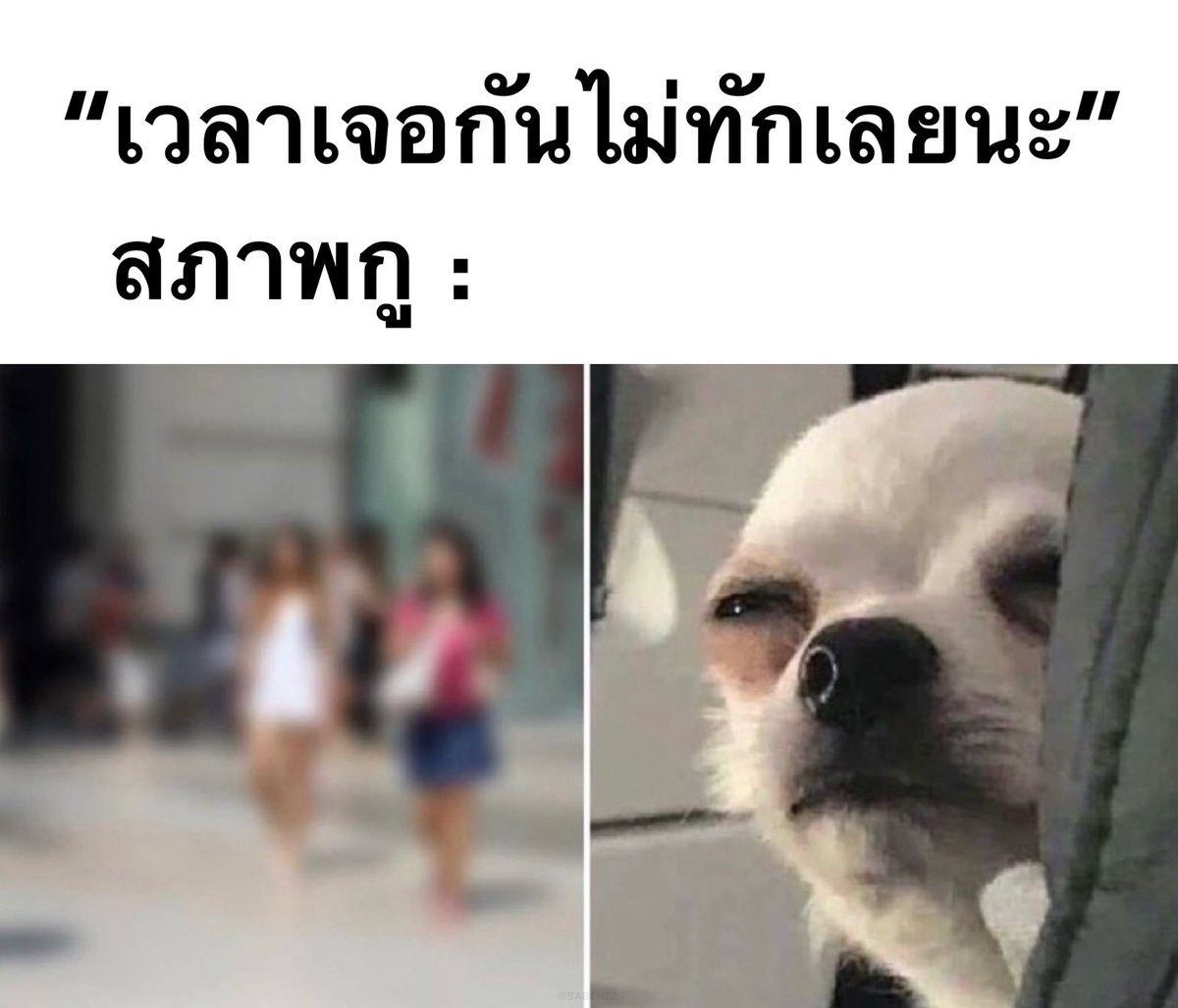 isasbenz's tweet image. ชีวิตจริงงกุ 1,000,000%