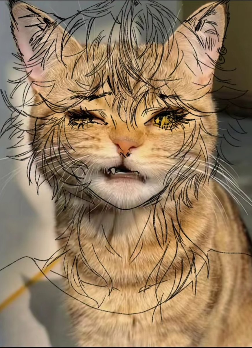 noteyrx's tweet image. 誰が描いたのか分からないけど、すごく気に入った🤩。誰かこのキャラクターの名前知ってる人いる？