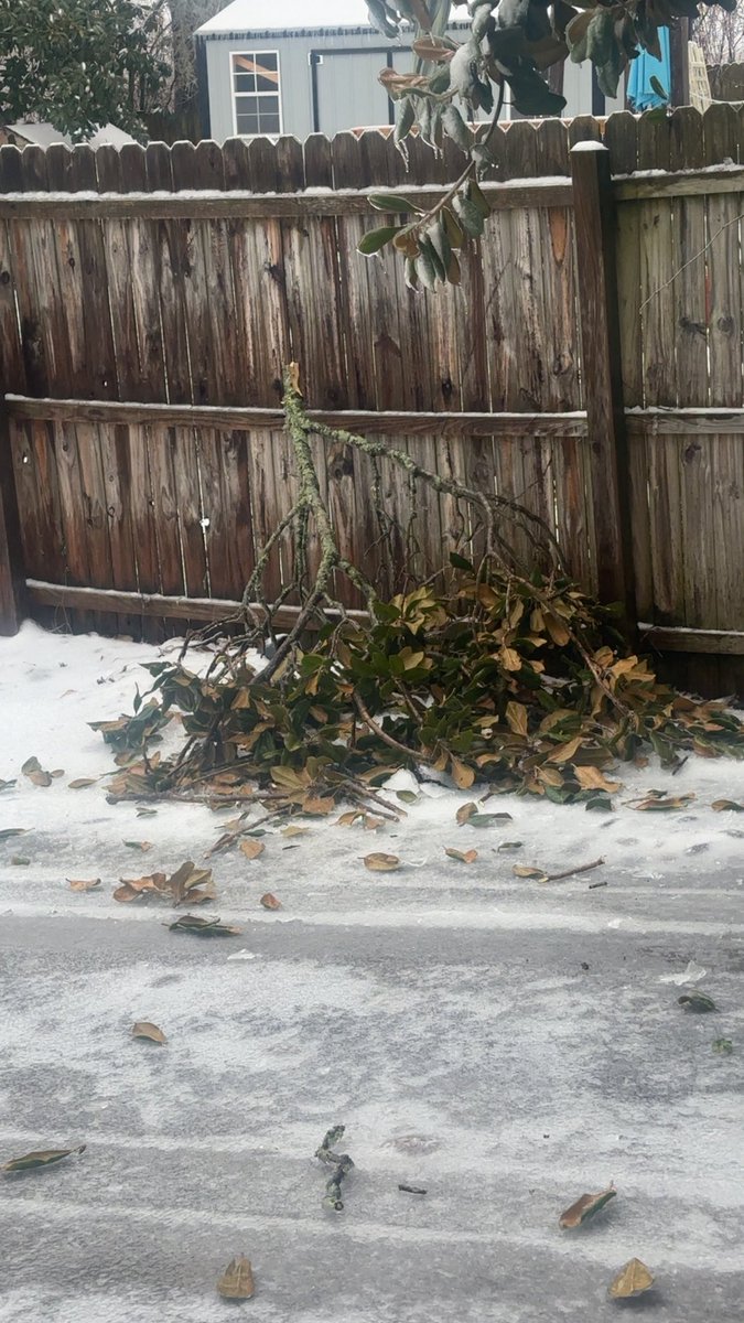 coreyd0120's tweet photo. The trees are very heavy here in Corbin and starting to come down branch by branch and the freezing rain is still pouring down @Kentuckyweather https://t.co/5eTY3EVh0W
