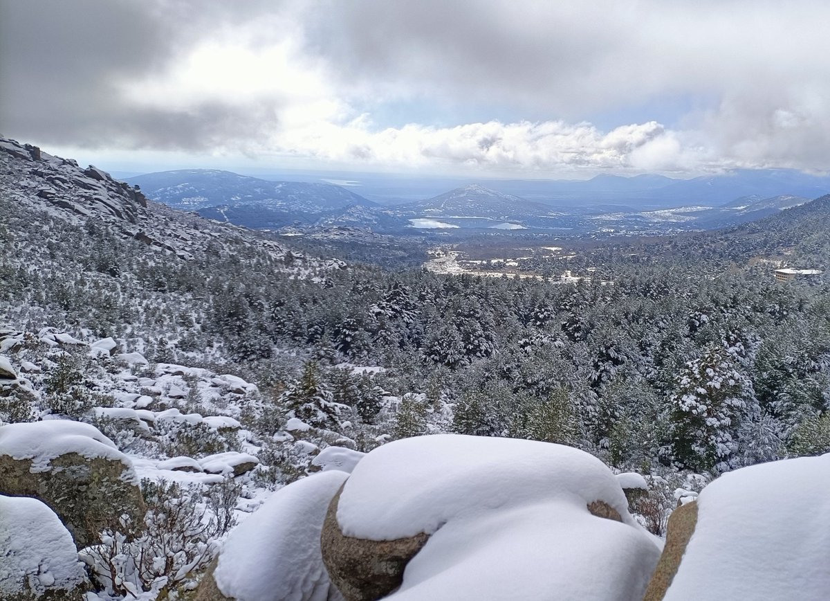 Aranzazu Serrano Lorenzo tweet media