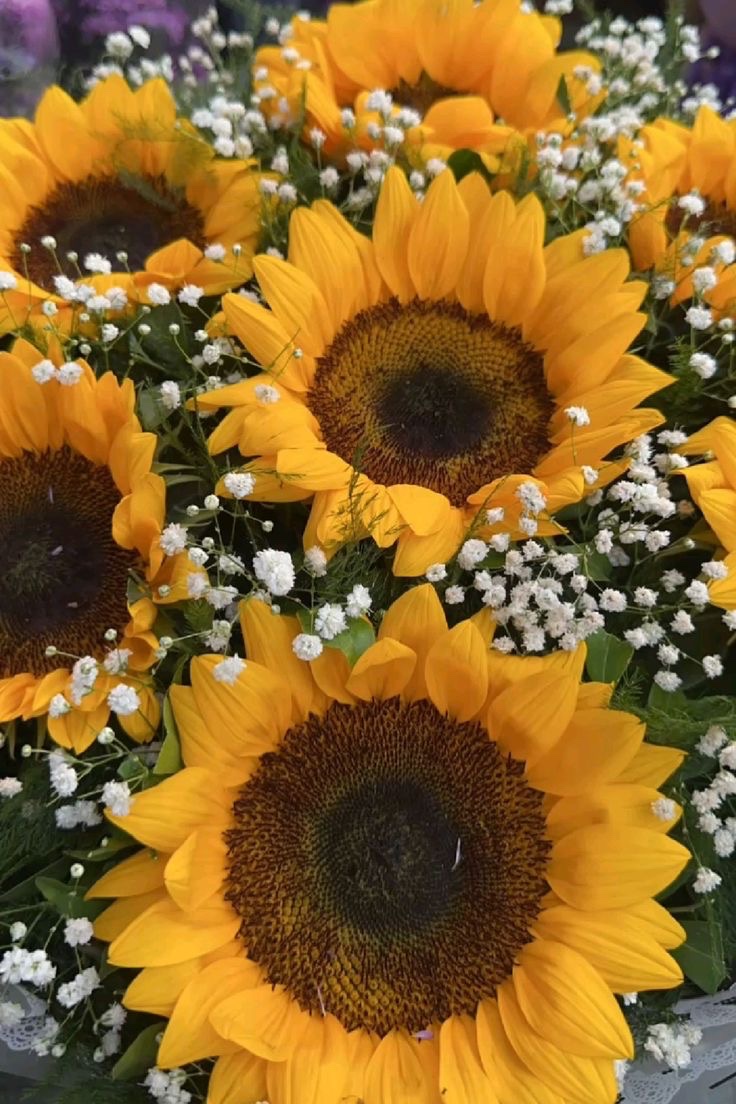 SUNFLOWER 🌻 tweet media