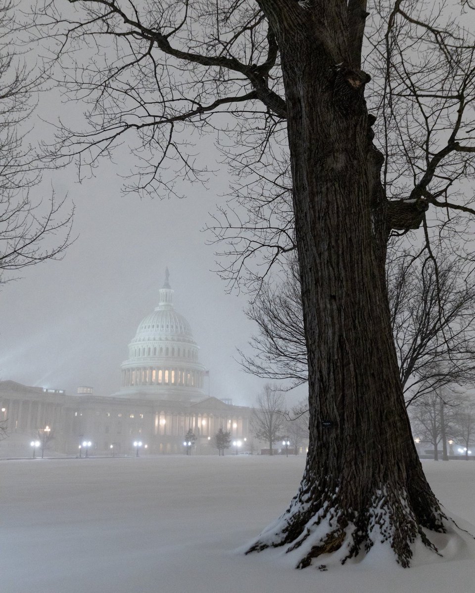 Mark Alan Andre tweet media