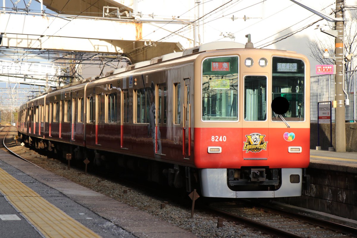 src_seals06's tweet photo. 阪神8239F 阪神タイガース優勝記念ラッピング号。
自分が見れるのは今日が最後なので見納め撮り納め乗り納めしてきました。 https://t.co/AaCxc5VDxk
