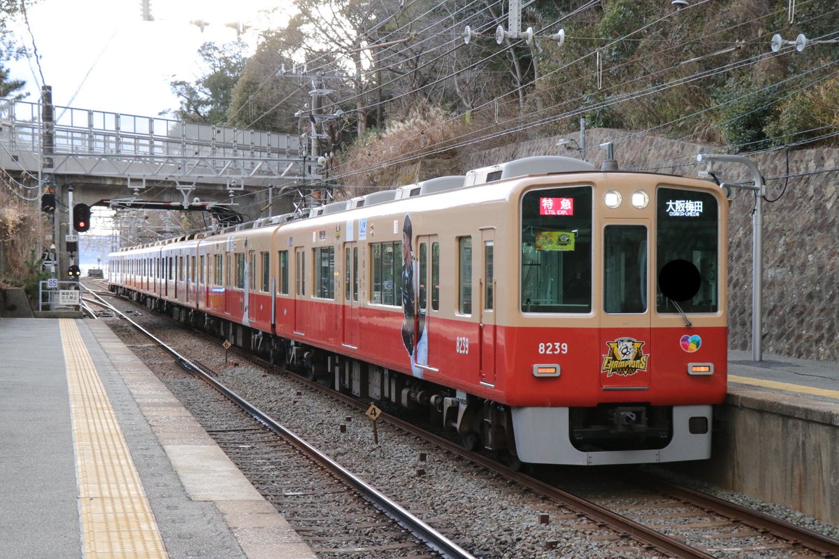 src_seals06's tweet photo. 阪神8239F 阪神タイガース優勝記念ラッピング号。
自分が見れるのは今日が最後なので見納め撮り納め乗り納めしてきました。 https://t.co/AaCxc5VDxk