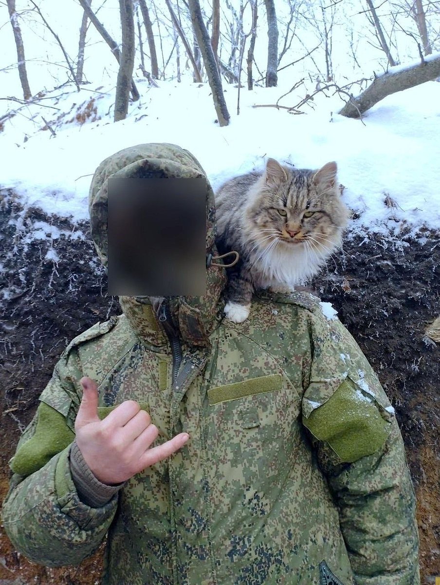 Andrei 🪶 (@commanderandrei) on Twitter photo 