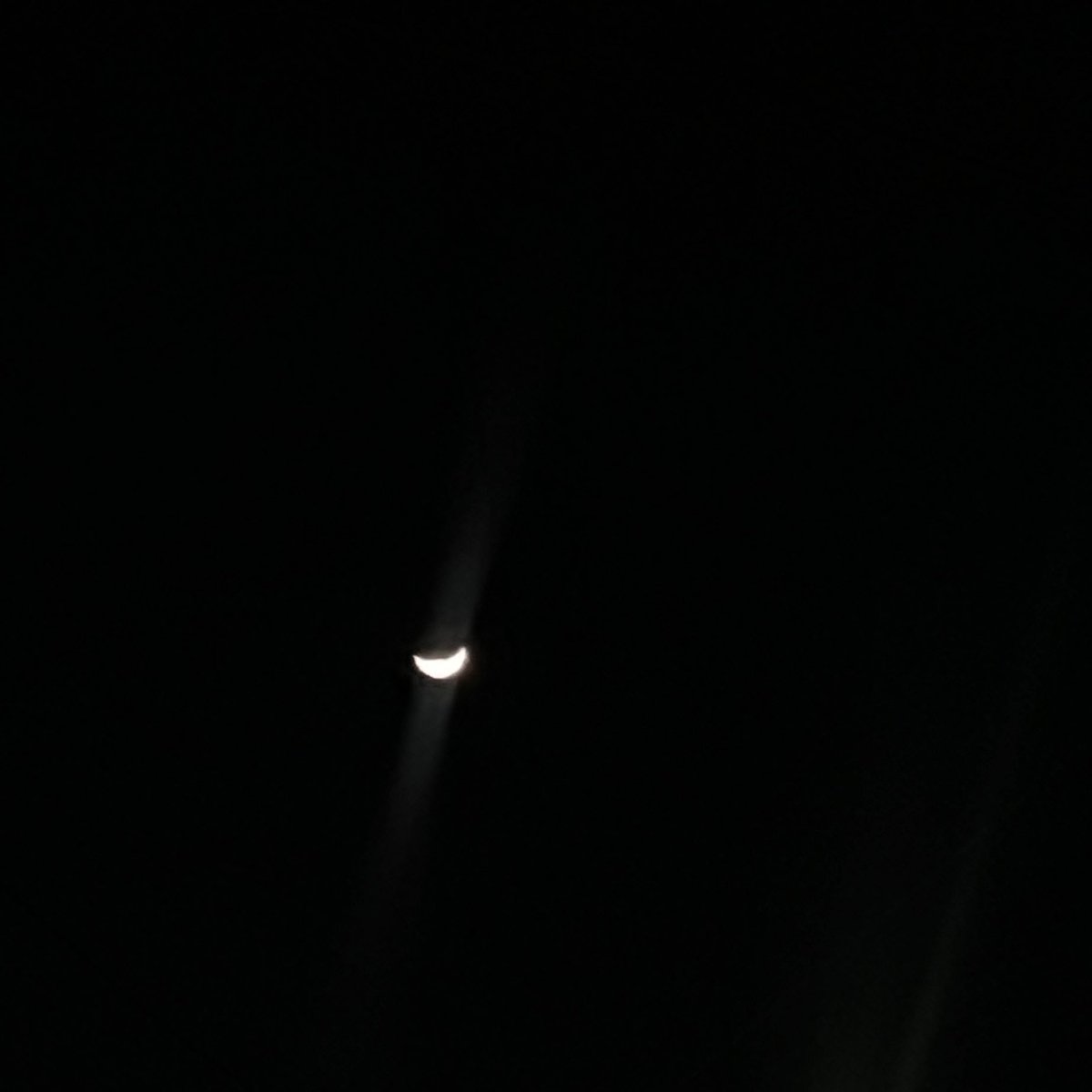 1YES2MOON6's tweet image. 올해도 어김없이 사랑해 
 #영원히빛나는달_문빈_생일축하해