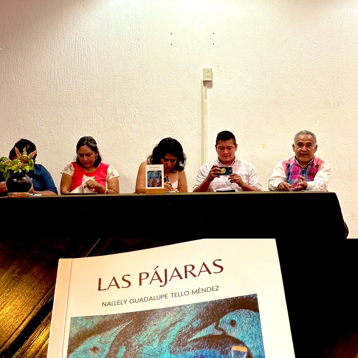 El 30 de diciembre, mientras pasaba fiestas allá en mi pueblo, Juchitán, me invitaron a la presentación de la novela Las Pájaras, de la poeta oaxaqueña Nallely Tello. Hasta ahora tuve la oportunidad de leerlo. 
Ha sido una sorpresa. Una narración coral, cuenta la historia de un