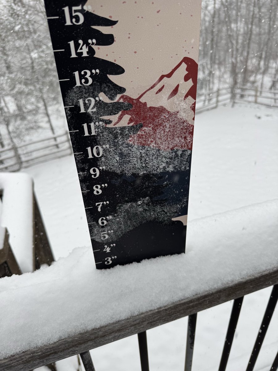 Mitchell tweet media