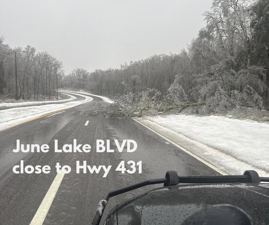 Spring Hill Police tweet media