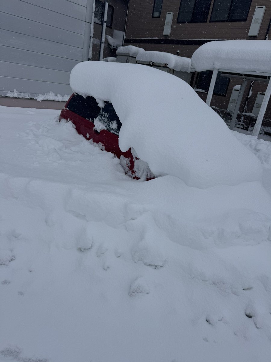 りょま-gdbインプ tweet media